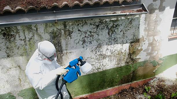 Top rated local Mold Remediation specialists in Saxton, PA